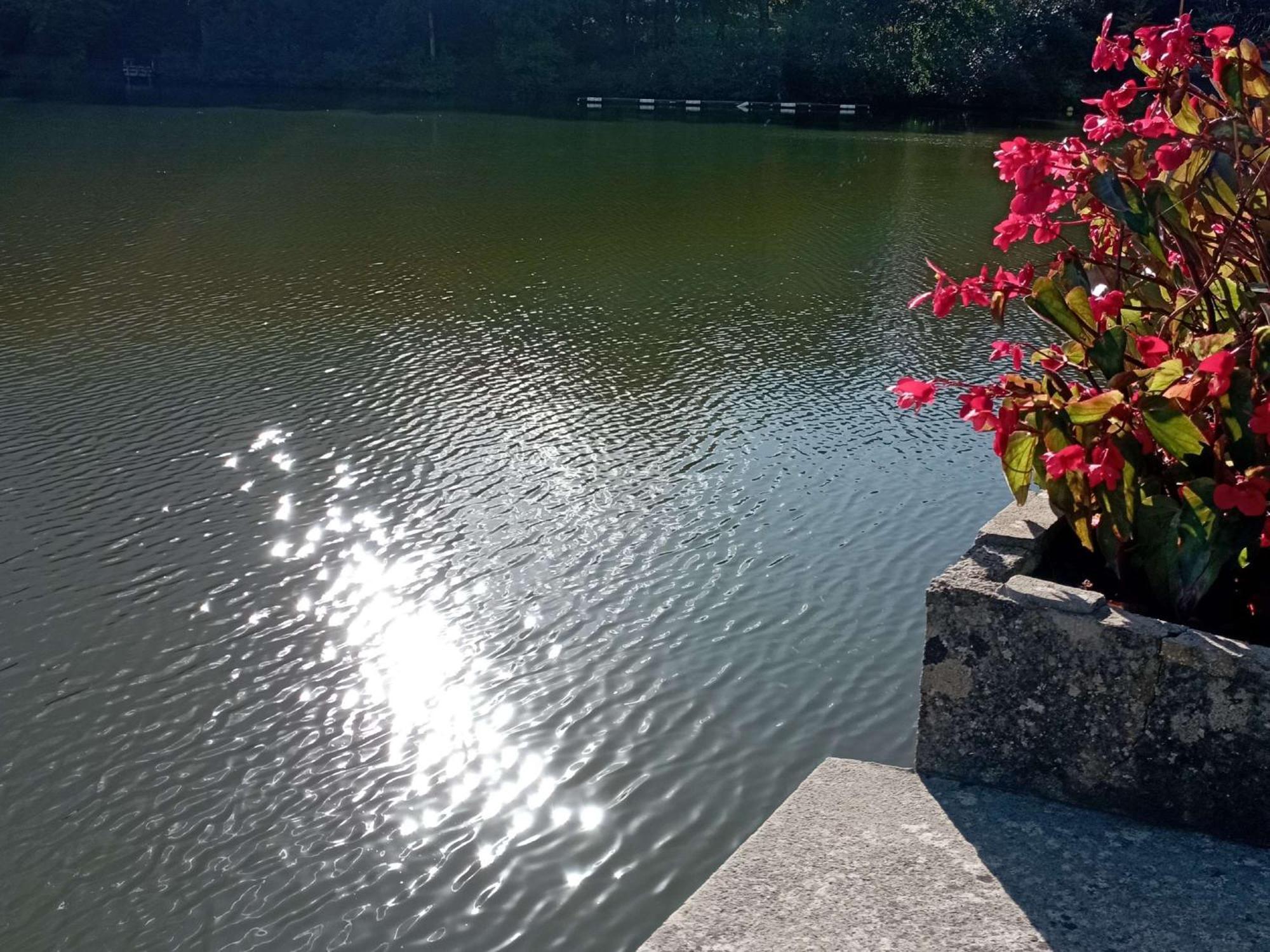 Ibis Les Etangs Des Moines Hotel Fourmies Exterior foto